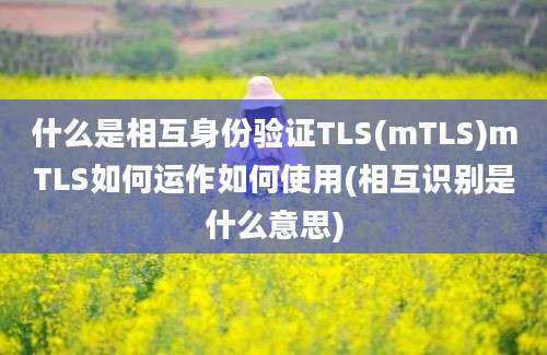 什么是相互身份验证TLS(mTLS)mTLS如何运作如何使用(相互识别是什么意思)