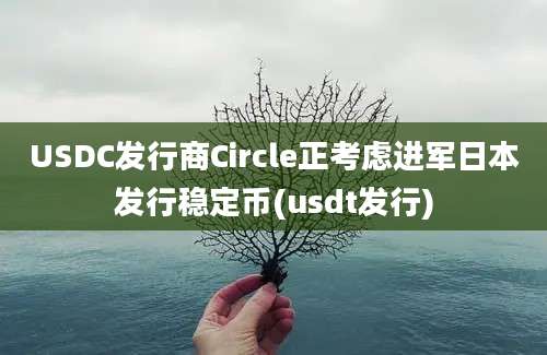 USDC发行商Circle正考虑进军日本发行稳定币(usdt发行)