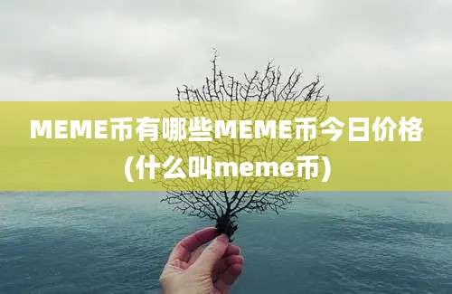 MEME币有哪些MEME币今日价格(什么叫meme币)