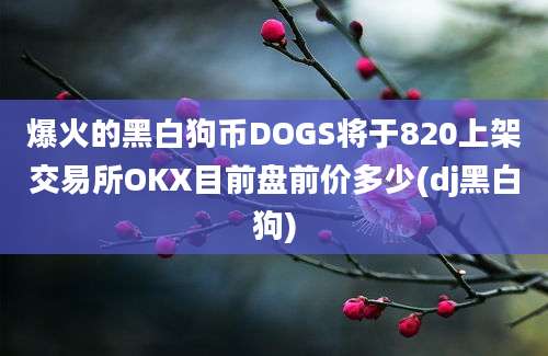 爆火的黑白狗币DOGS将于820上架交易所OKX目前盘前价多少(dj黑白狗)