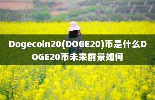 Dogecoin20(DOGE20)币是什么DOGE20币未来前景如何