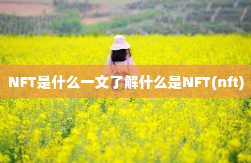 NFT是什么一文了解什么是NFT(nft)