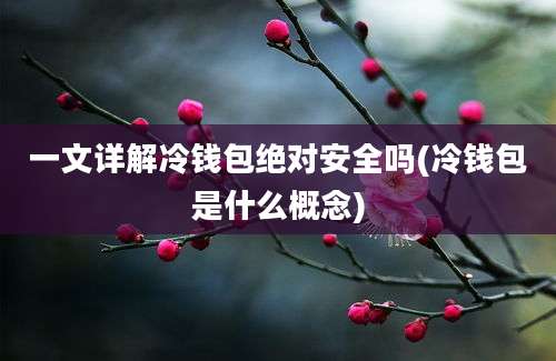 一文详解冷钱包绝对安全吗(冷钱包是什么概念)