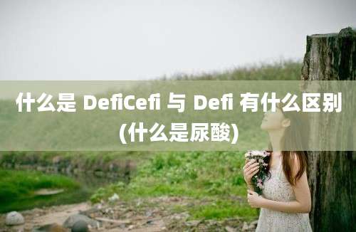 什么是 DefiCefi 与 Defi 有什么区别(什么是尿酸)