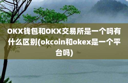 OKX钱包和OKX交易所是一个吗有什么区别(okcoin和okex是一个平台吗)