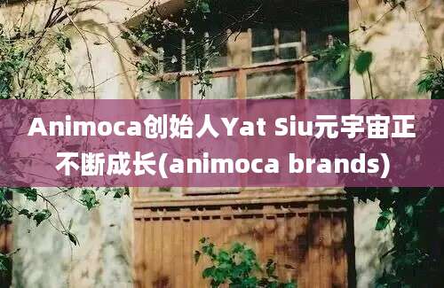 Animoca创始人Yat Siu元宇宙正不断成长(animoca brands)