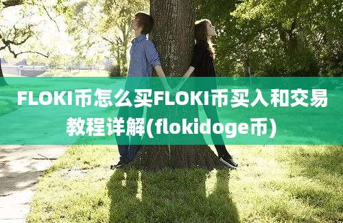 FLOKI币怎么买FLOKI币买入和交易教程详解(flokidoge币)