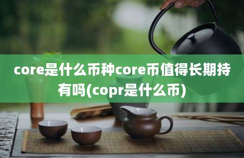 core是什么币种core币值得长期持有吗(copr是什么币)