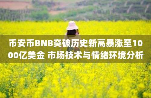 币安币BNB突破历史新高暴涨至1000亿美金 市场技术与情绪环境分析