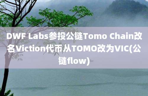 DWF Labs参投公链Tomo Chain改名Viction代币从TOMO改为VIC(公链flow)