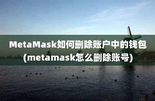 MetaMask如何删除账户中的钱包(metamask怎么删除账号)