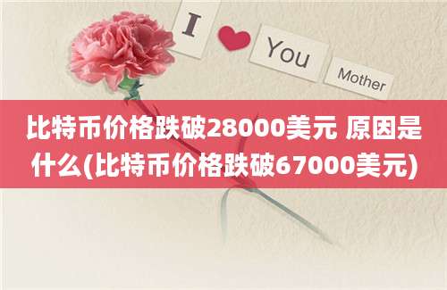 比特币价格跌破28000美元 原因是什么(比特币价格跌破67000美元)