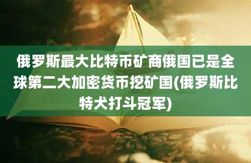 俄罗斯最大比特币矿商俄国已是全球第二大加密货币挖矿国(俄罗斯比特犬打斗冠军)