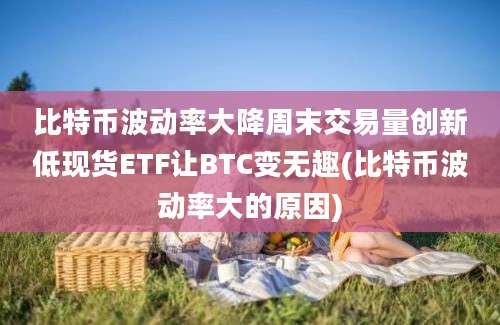 比特币波动率大降周末交易量创新低现货ETF让BTC变无趣(比特币波动率大的原因)