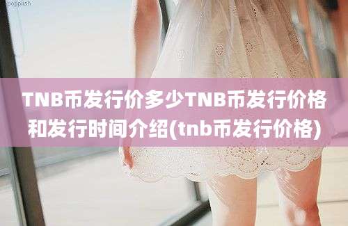 TNB币发行价多少TNB币发行价格和发行时间介绍(tnb币发行价格)