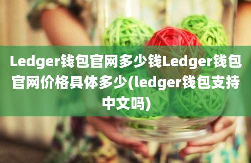 Ledger钱包官网多少钱Ledger钱包官网价格具体多少(ledger钱包支持中文吗)