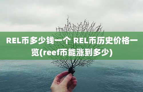 REL币多少钱一个 REL币历史价格一览(reef币能涨到多少)