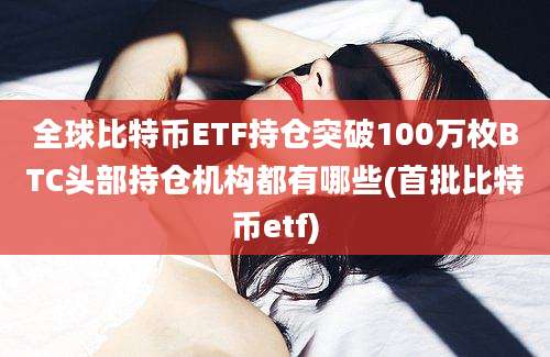 全球比特币ETF持仓突破100万枚BTC头部持仓机构都有哪些(首批比特币etf)