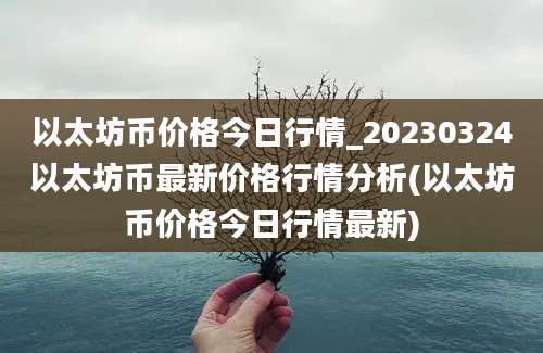 以太坊币价格今日行情_20230324以太坊币最新价格行情分析(以太坊币价格今日行情最新)