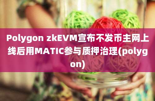 Polygon zkEVM宣布不发币主网上线后用MATIC参与质押治理(polygon)