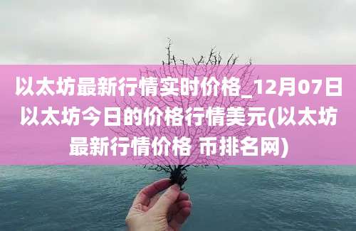 以太坊最新行情实时价格_12月07日以太坊今日的价格行情美元(以太坊最新行情价格 币排名网)