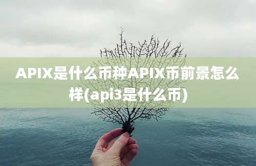 APIX是什么币种APIX币前景怎么样(api3是什么币)