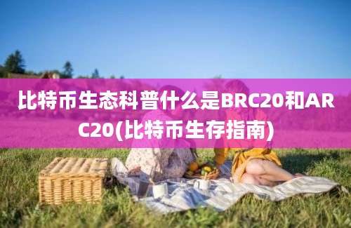 比特币生态科普什么是BRC20和ARC20(比特币生存指南)