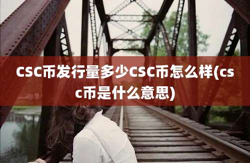 CSC币发行量多少CSC币怎么样(csc币是什么意思)