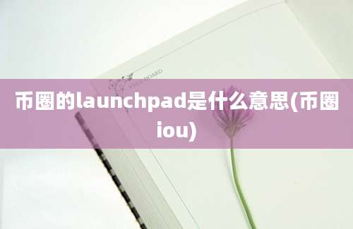 币圈的launchpad是什么意思(币圈iou)