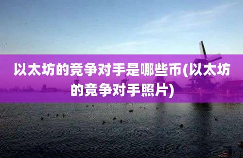 以太坊的竞争对手是哪些币(以太坊的竞争对手照片)