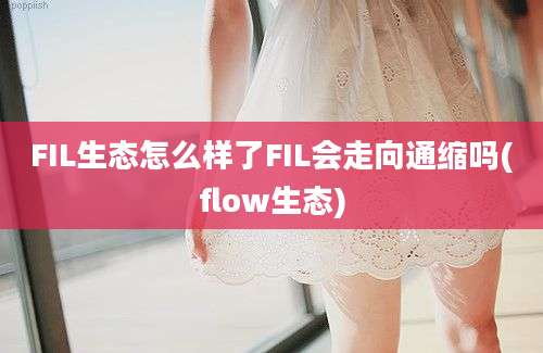 FIL生态怎么样了FIL会走向通缩吗(flow生态)