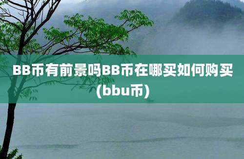 BB币有前景吗BB币在哪买如何购买(bbu币)