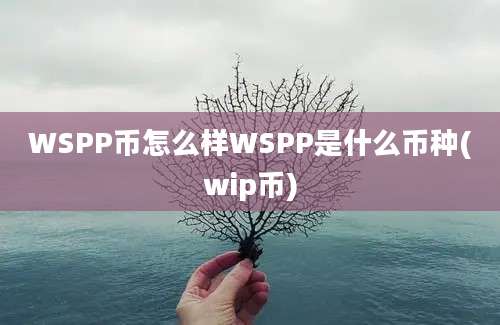 WSPP币怎么样WSPP是什么币种(wip币)