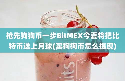 抢先狗狗币一步BitMEX今夏将把比特币送上月球(买狗狗币怎么提现)