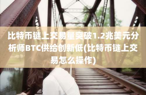 比特币链上交易量突破1.2兆美元分析师BTC供给创新低(比特币链上交易怎么操作)