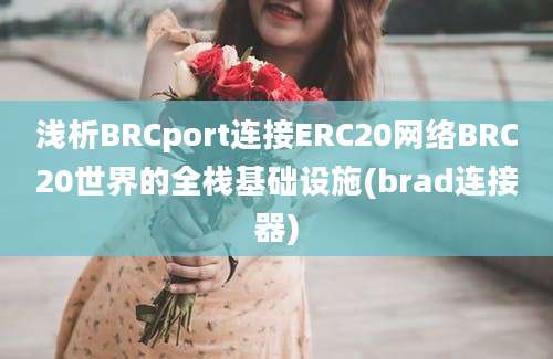 浅析BRCport连接ERC20网络BRC20世界的全栈基础设施(brad连接器)