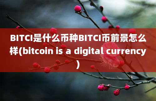 BITCI是什么币种BITCI币前景怎么样(bitcoin is a digital currency)