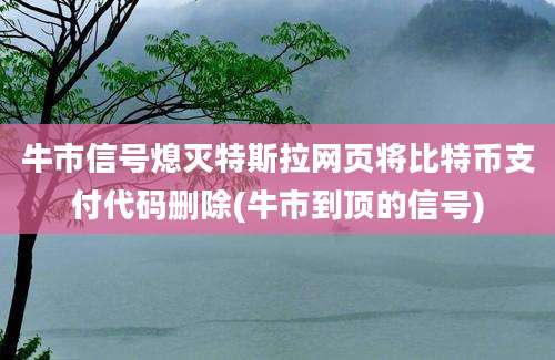 牛市信号熄灭特斯拉网页将比特币支付代码删除(牛市到顶的信号)