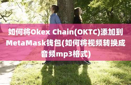 如何将Okex Chain(OKTC)添加到MetaMask钱包(如何将视频转换成音频mp3格式)