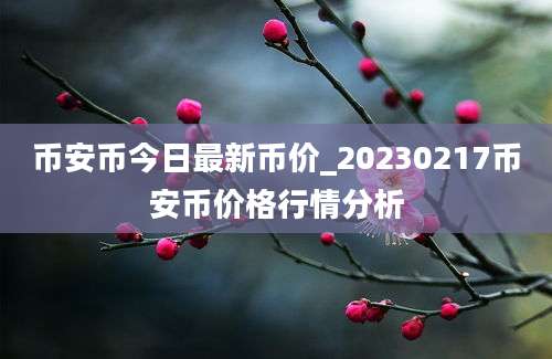 币安币今日最新币价_20230217币安币价格行情分析