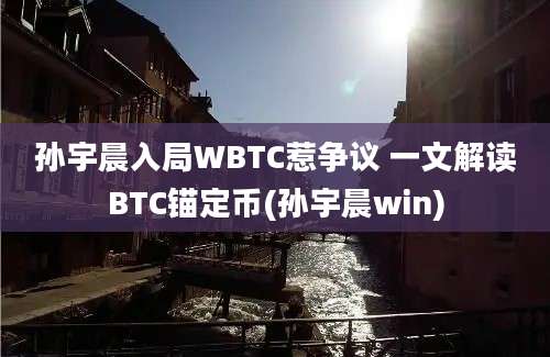 孙宇晨入局WBTC惹争议 一文解读BTC锚定币(孙宇晨win)