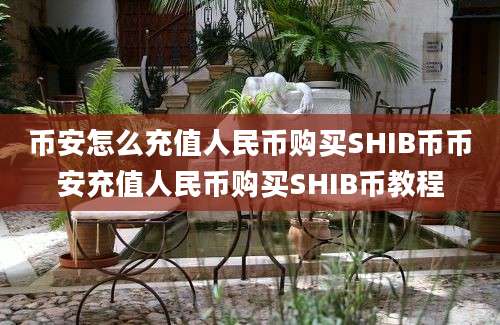 币安怎么充值人民币购买SHIB币币安充值人民币购买SHIB币教程