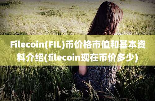 Filecoin(FIL)币价格市值和基本资料介绍(filecoin现在币价多少)