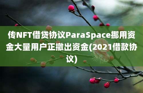 传NFT借贷协议ParaSpace挪用资金大量用户正撤出资金(2021借款协议)