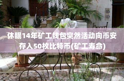 休眠14年矿工钱包突然活动向币安存入50枚比特币(矿工寿命)