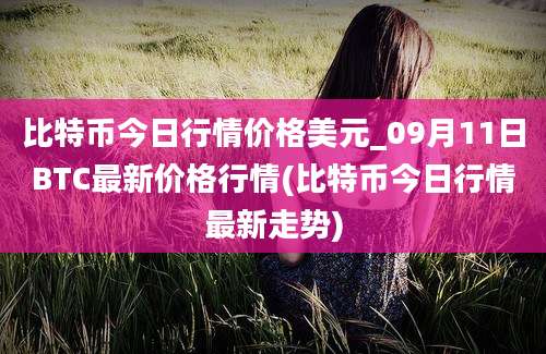 比特币今日行情价格美元_09月11日BTC最新价格行情(比特币今日行情最新走势)