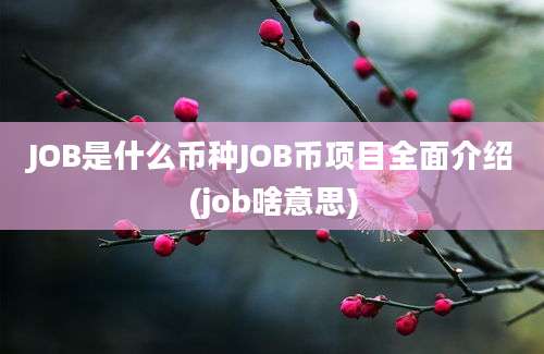 JOB是什么币种JOB币项目全面介绍(job啥意思)