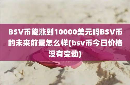 BSV币能涨到10000美元吗BSV币的未来前景怎么样(bsv币今日价格没有变动)