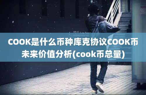 COOK是什么币种库克协议COOK币未来价值分析(cook币总量)