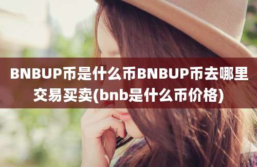 BNBUP币是什么币BNBUP币去哪里交易买卖(bnb是什么币价格)